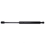 Trunk Lid Lift Support Strong Arm 6170. Fixed Price $46.99.