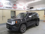 Renegade 2017 Hatchback Strut 1738753. Fixed Price $127.98.
