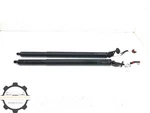 2021-2025 Nissan Rogue Rear Liftgate Power Support Cylinder Strut Set Oem. Fixed Price $199.99.