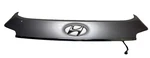 ***13-17 Hyundai Santa Fe Rear Liftgate Cover Molding Panel 87371B-8000 Oem K596. Fixed Price $259.99.