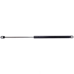 Liftgate Support Strong Arm D4442. Fixed Price $19.70.