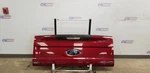 17 Ford F250 Lariat Rear Tailgate Assembly With Step And View Camera Red Rr. Fixed Price $2000.00.