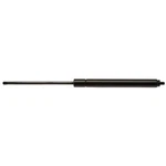 Trunk Lid Lift Support Strong Arm 4956. Fixed Price $37.13.