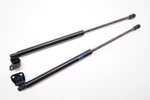 2003-2008 Nissan 350Z Coupe Liftgate Trunk Strut Shock Rear Left & Right 2-SET. Fixed Price $68.00.
