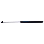 Trunk Lid Lift Support Strong Arm 4335. Fixed Price $23.95.