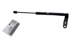 21-25 Tesla Model Front Left Right Bonnet Hood Lift Support 1586548-00-B. Fixed Price $58.19.
