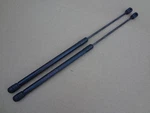 1999 - 2004 Mustang Svt Cobra 4.6 Trunk Shocks Oem Sku# J147. Fixed Price $25.20.