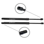 2PC Rear Tailgate Trunk Liftgate Support Struts Shock Fit 02-07 Saturn Vue. Fixed Price $31.13.
