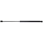 For Lexus 2002-2004 Liftgate Support Strong Arm + 1 Year Warranty. Fixed Price $32.82.