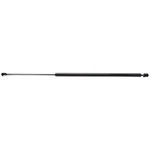 Liftgate Support Strong Arm 4904 Fits 84-96 Chevrolet Corvette. Fixed Price $58.99.