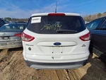 2016 Ford Escape Trunk Lid White Used Local Pick Up Only 89000 Miles. Fixed Price $284.95.