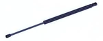 Tuff Support Trunk Lid Lift For 02-05 Hyundai XG350 613758. Fixed Price $27.09.