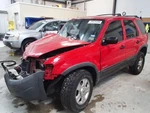 Trunk/hatch/tailgate Thru 12/10/01 Privacy Tint Glass Fits 01-02 Escape 1289702. Fixed Price $525.00.