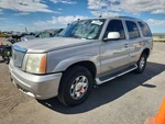 Trunk/hatch/tailgate Liftglass Steel Fits 05-06 Escalade 2618128. Fixed Price $514.95.