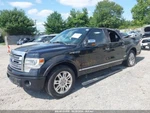 (pickup Local Only) Trunk/hatch/tailgate Styleside Box Fits 11-14 Ford F150. Fixed Price $634.90.