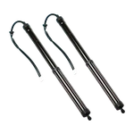 Genuine Toyota RAV4 2019-2022 L+r Tailgate Lift Supports 6892042020 6891042060. Fixed Price $129.98.
