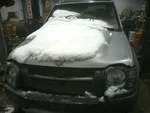 Xterra 2003 Hatchback Strut 100993. Fixed Price $27.00.
