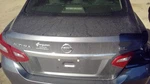 Used Deck Lid Fits: 2018 Nissan Altima Sedan W/o Spoiler Rear View Camera Grade. Fixed Price $1159.90.