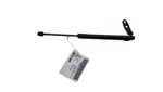 21-25 Tesla Model Front Left Right Bonnet Hood Lift Support 1586548-00-B. Fixed Price $58.19.
