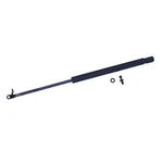 Tuff Support 612755. Fixed Price $39.93.