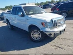 Trunk/hatch/tailgate Styleside Box Fits 09-10 Ford F150 Pickup 3806400. Fixed Price $699.97.