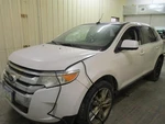 Edge 2011 Hatchback Strut 1742371. Fixed Price $55.99.