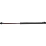 Trunk Lid Lift Support Strong Arm 6628 Fits 04-06 Vw Phaeton. Fixed Price $40.99.