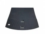 2025 Lexus NX350H Trunk Hard Floor Cover Panel Carpet 58410-F6010 Oem 637 #A7 .. Fixed Price $210.00.