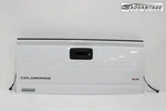 2015-2022 Chevrolet Colorado Crew Cab Tailgate Back Door Pickup Box Cover Oem. Fixed Price $799.99.