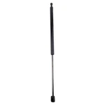 For Hyundai Tiburon 03-06 Trq Driver Passenger Side Trunk Lift Support. Fixed Price $33.97.