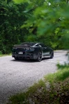 6TH Gen Camaro Anderson Composites Carbon Fiber Trunk Fenders. Fixed Price $3000.00.