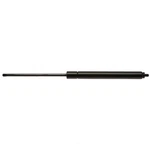 Trunk Lid Lift Support Strong Arm 4956. Fixed Price $50.99.