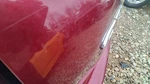 Used Deck Lid Fits: 2008 Honda Cr-v Lx Grade. Fixed Price $874.90.