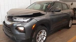 Tailgate / Trunk Decklid For Trailblazer Assy Gry Heat Wipe W-lghts. Fixed Price $799.99.