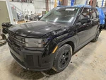 Trunk/hatch/tailgate Us Built Without Surround View Fits 24-25 Santa Fe 1545960. Fixed Price $3718.00.