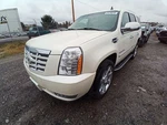 Escalade 2007 Lid Motor Pull Down 12569805. Fixed Price $211.02.