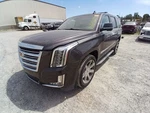 Escalade 2016 Lid Motor Pull Down 12187815. Fixed Price $116.02.