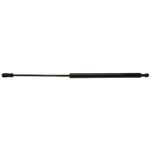 Liftgate Support Strong Arm 4612 Fits 82-89 Vw Scirocco. Fixed Price $44.99.