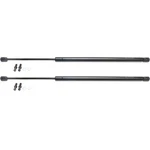 Lift Support Set For 2003-2011 Honda Element Trunk Lid Left & Right 2-PCS. Fixed Price $29.98.