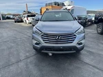 Trunk/hatch/tailgate Lwb Manual Lift Fits 13-16 Santa Fe 611170. Fixed Price $550.00.