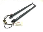 2020-2025 Lincoln Aviator Rear Liftgate Power Support Cylinder Strut Set Oe. Fixed Price $149.99.