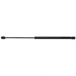 Trunk Lid Lift Support Strong Arm D4668. Fixed Price $36.37.