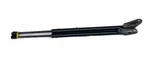 2019 2020 Toyota RAV4 Lid Gate Jacks Lift Struts Assy Oem. Fixed Price $124.99.