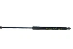 2017-2022 Toyota Prius Prime Right Rh Liftgate Support Shock Strut Oem. Fixed Price $37.99.