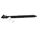 2015 Ford Escape Tailgate Lift Shocks Left & Right CJ545402A74AC Factory Oem. Fixed Price $82.50.