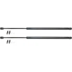 Driver Passenger Side Lift Support Set Fits 2003-2011 Honda Element. Fixed Price $42.24.