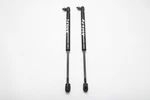 2004-2008 Acura Hood Opener Stay Damper Shock Set Left And Right, A956,. Fixed Price $45.05.