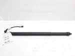 Range Rover Velar L560 Trunk Shock Strut Lift Spindle Drive J8A270354AC. Fixed Price $44.99.