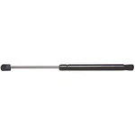 Lift Support Ams Automotive 6695. Fixed Price $55.00.