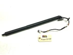 2020-2024 Lincoln Corsair Rear Trunk Liftgate Strut Shock Oem.. Fixed Price $74.97.